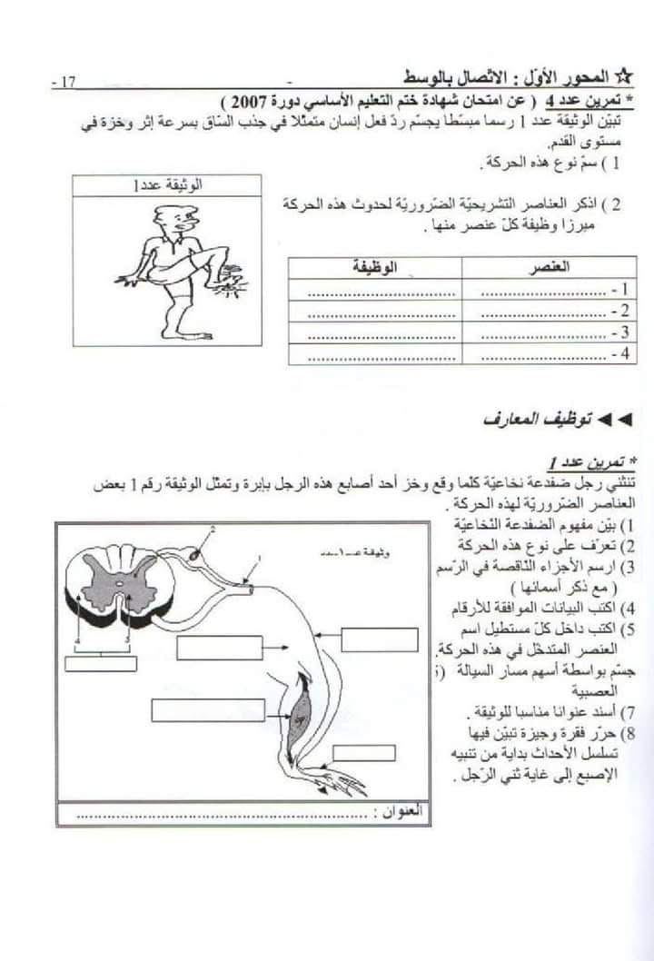 img_6958e7b5dd8bf_IMG_0732.jpeg