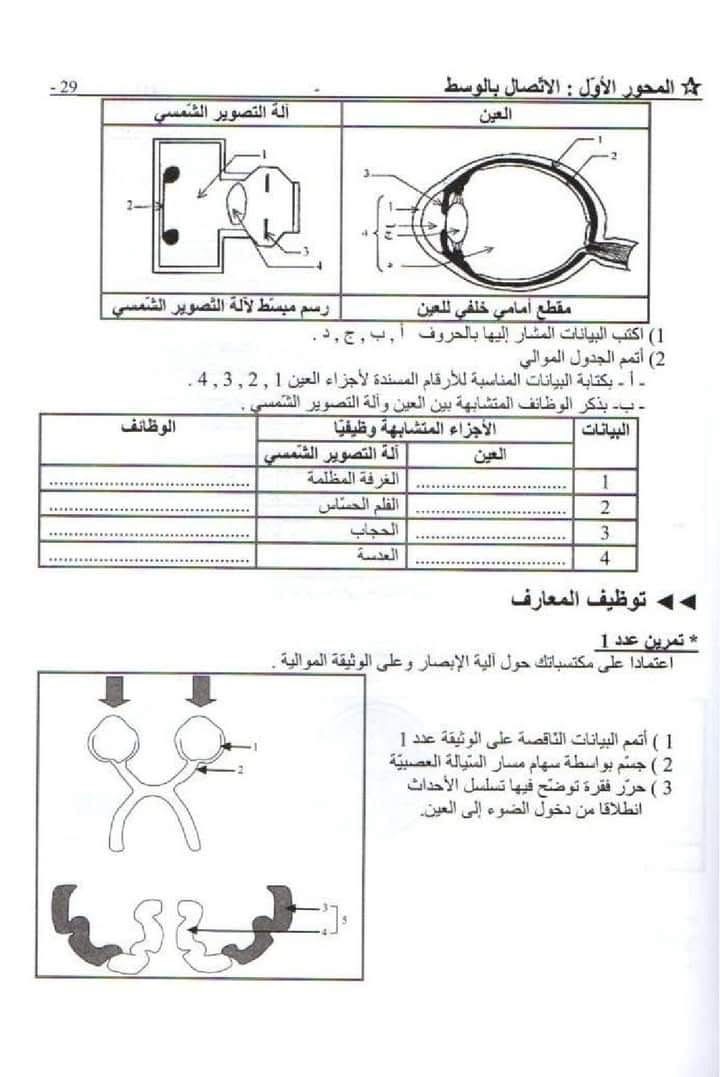 img_6958e9048abb1_IMG_0744.jpeg